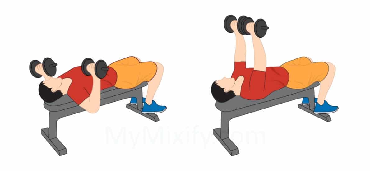 Best Dumbbell Exercises You Need to Do! MyMixify